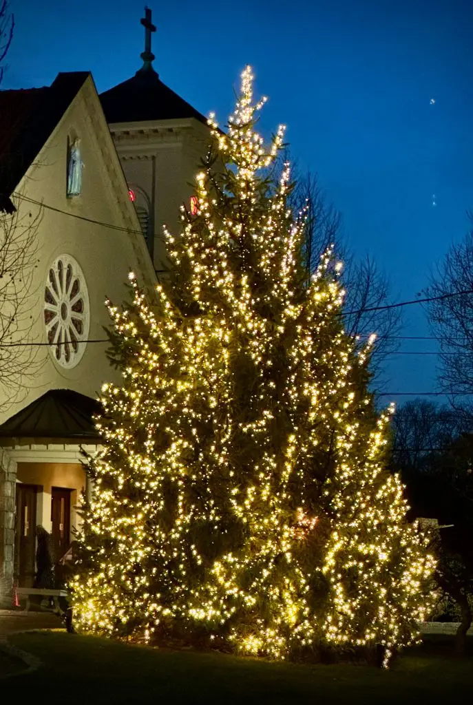 Christmas Tree in front of the Church, courtesy Father Ken Grooms.