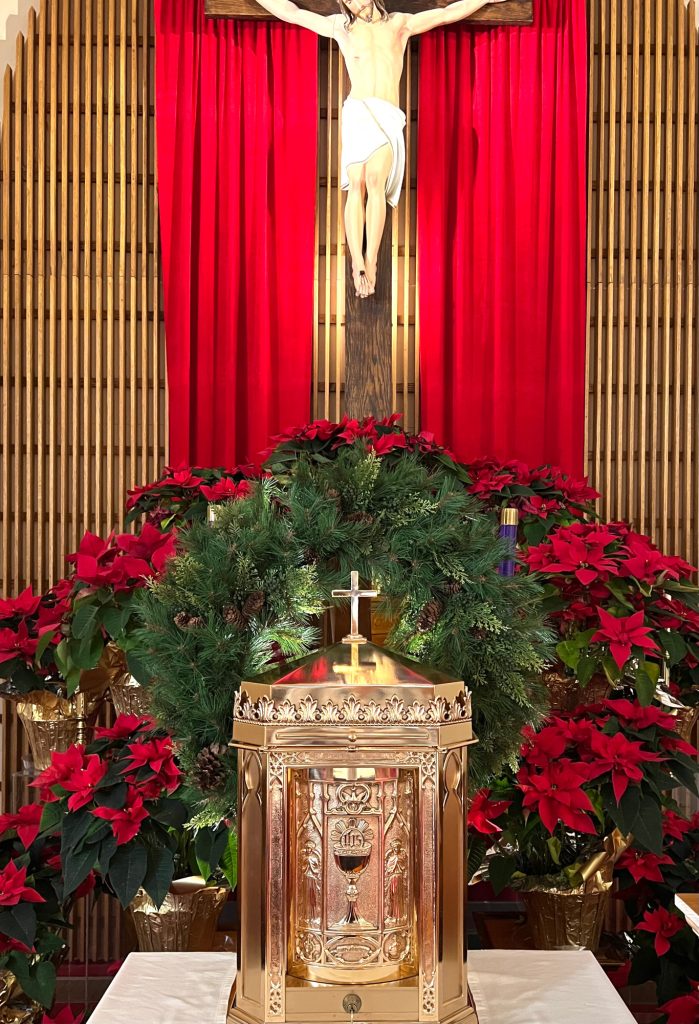 poinsettias behind tabernacle