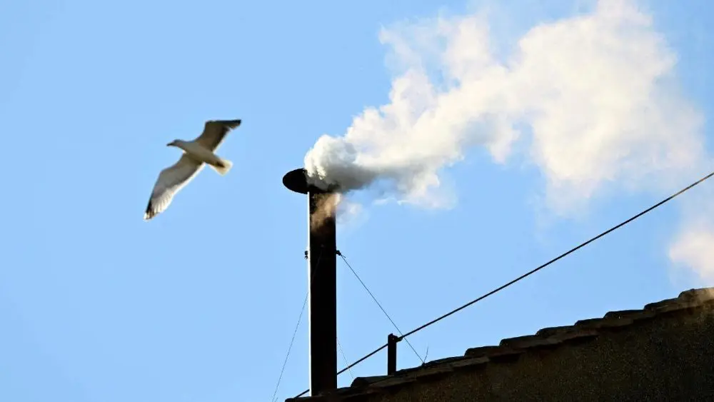 white smoke 2025